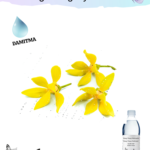 ylang ylang hidrosolü