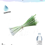 Citronella Hidrosolü