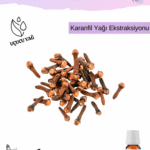 Ejonol Uçucu Yağı (Karanfil)