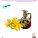 Kantaron Yağı (Sızma Zeytinyağında)