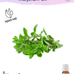 Mercanköşk (Marjoram) Uçucu Yağı (Tatlı Kekik Yağı)