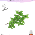 Nane (Piperita) Uçucu Yağı