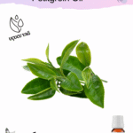 Petitgrein Uçucu Yağı