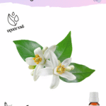 Portakal Çiçeği (Neroli) Uçucu Yağı