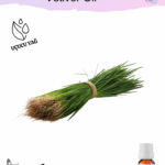 Vetiver Uçucu Yağı
