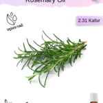 Biberiye Uçucu Yağı 2,31 Kafur