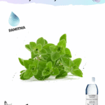 Mercanköşk (Marjoram) Hidrosolü