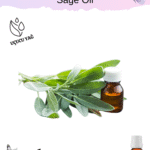 Adaçayı Uçucu Yağı