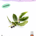 Defne Tohumu Yağı