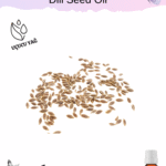 Dere Otu Tohumu Uçucu Yağı