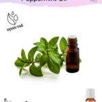 Nane (Arvensis) Uçucu Yağı